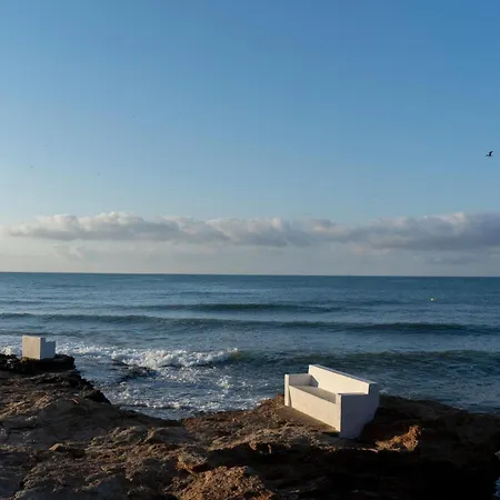 Awesome In * Torrevieja